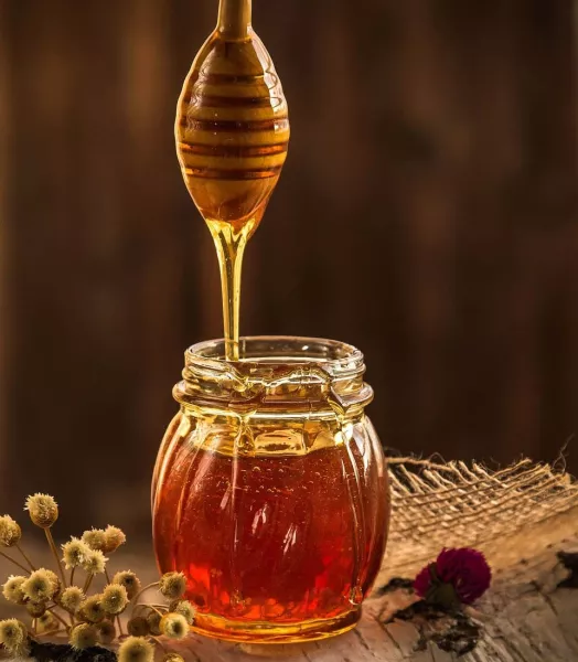Miel de Sologne